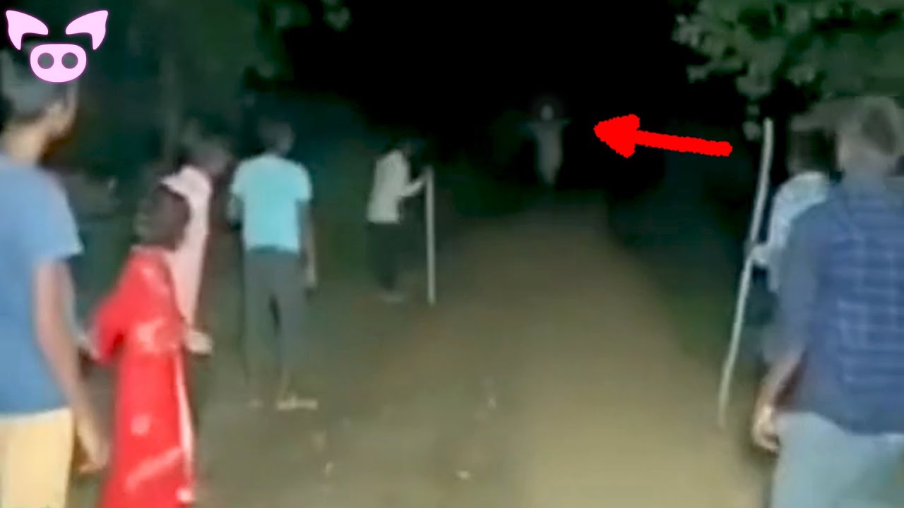 Are These Real Paranormal Entities Caught on Camera?
