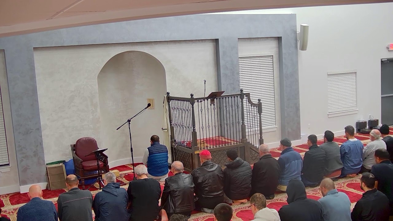 الفجر ٨ - الأنعام ١٢٨-١٤٧