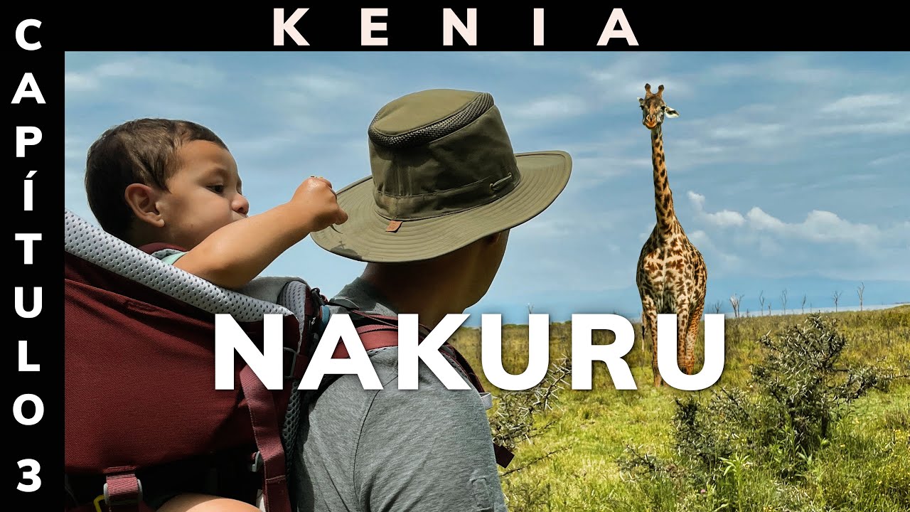 SAFARI en LAKE NAKURU | Kenia - África
