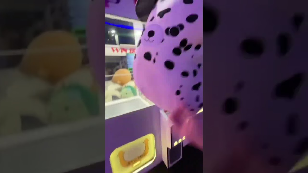 ENORME máquina de garra con Squishmallows 
