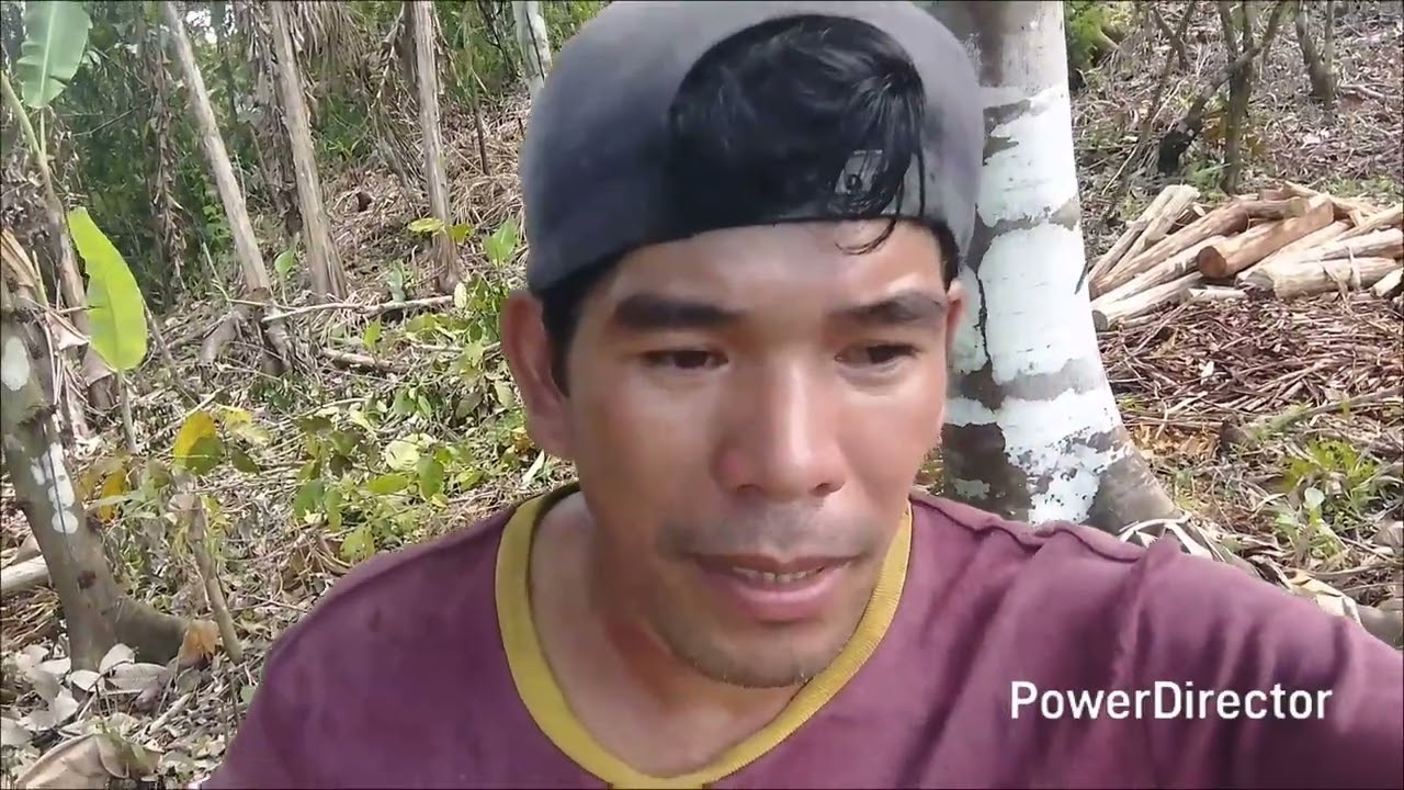 WAW ANG GANDA NITO TANIMAN NANG GOLAYAN HABANG HINIHIN TAY ANG PAG BO NGA NITO