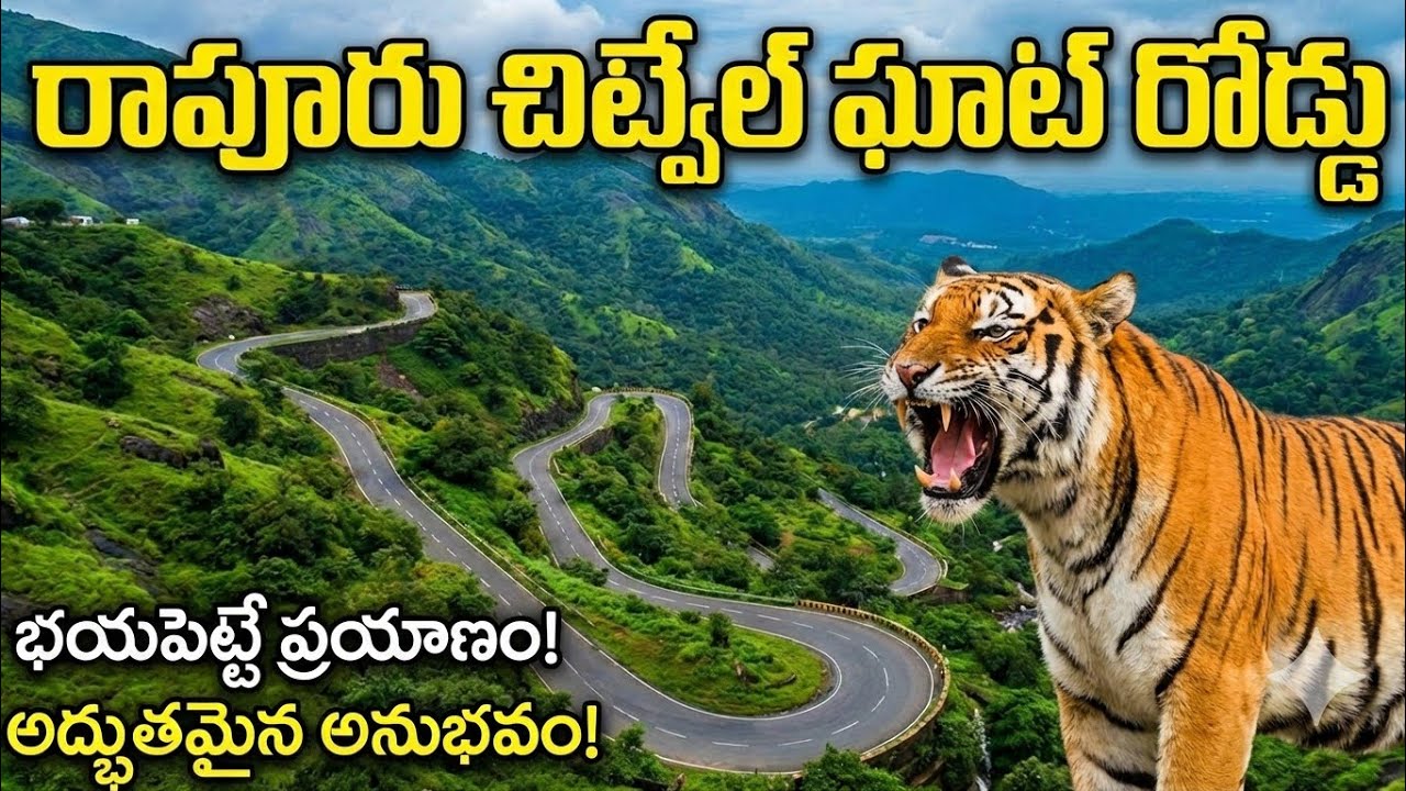 రాపూరు చిట్వేలు ఘాట్ రోడ్డు #rapurghatroad #ongolekurradu #trending #apghatroad #nellore 
