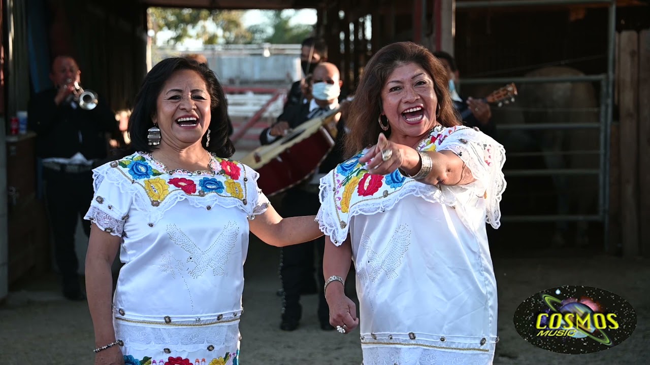 LAS CALANDRIAS YA ESTAN CANTANDO LOS GALLOS