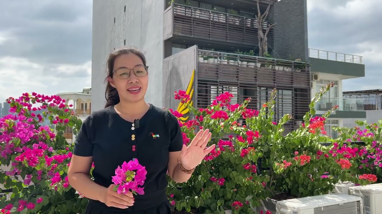 Bánh cuốn Thanhh Trì Hương vị bắc Bộ trong bữa sáng tại khách sạn ở Nha Trang #banhcuon