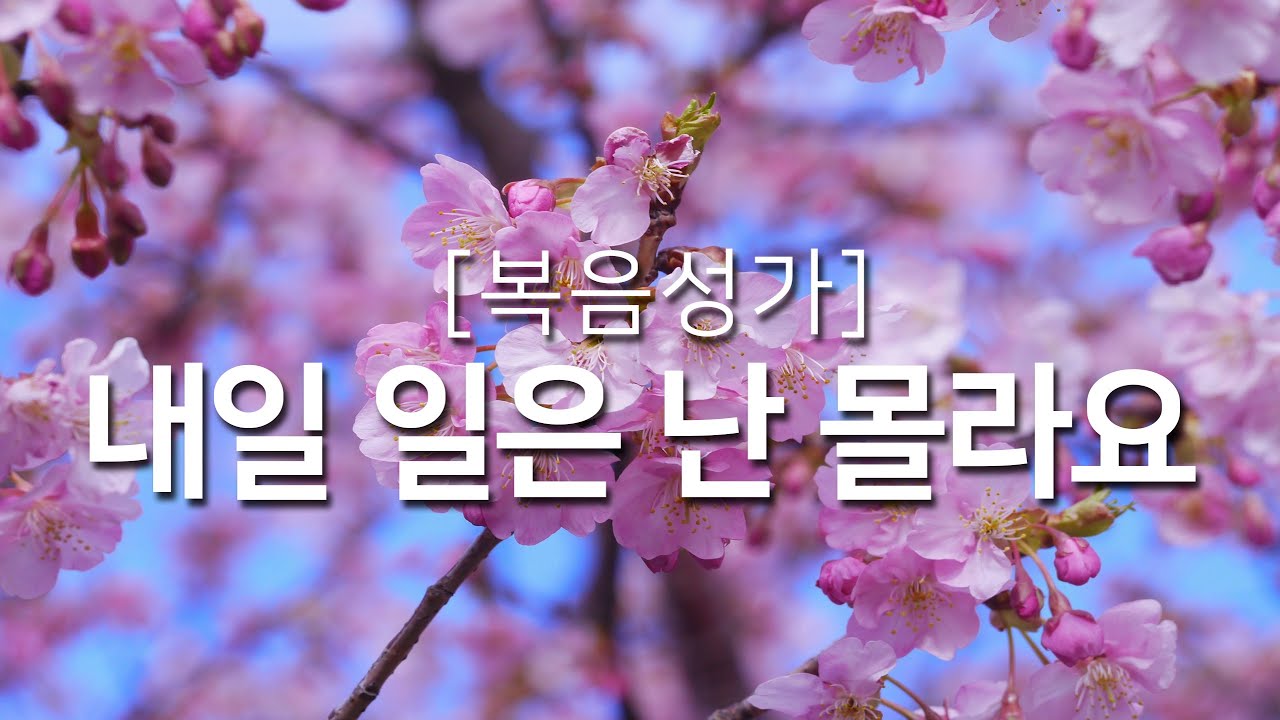 [복음성가연속듣기] 내일 일은 난 몰라요_하루찬양, 복음성가, 은혜찬양연속듣기, 은혜찬양