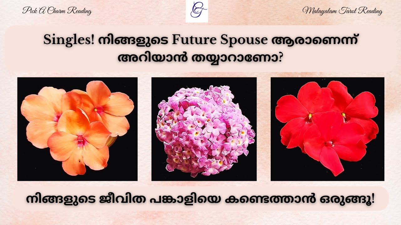 Singles! നിങ്ങളുടെ Future Spouse ആരാണെന്ന് അറിയാൻ തയ്യാറാണോ? | #malayalmtarotreading #pickacharm