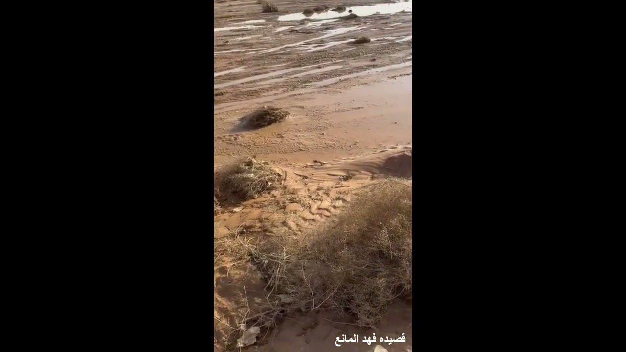 قصيده 