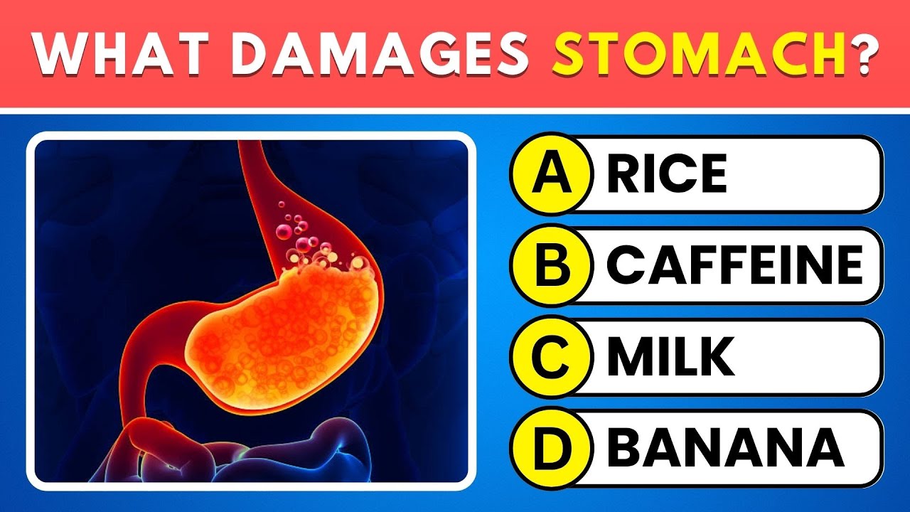 Can You Pass This Human Body Quiz? 🤔 30 Mind-Blowing Anatomy Trivia Questions! 🧠