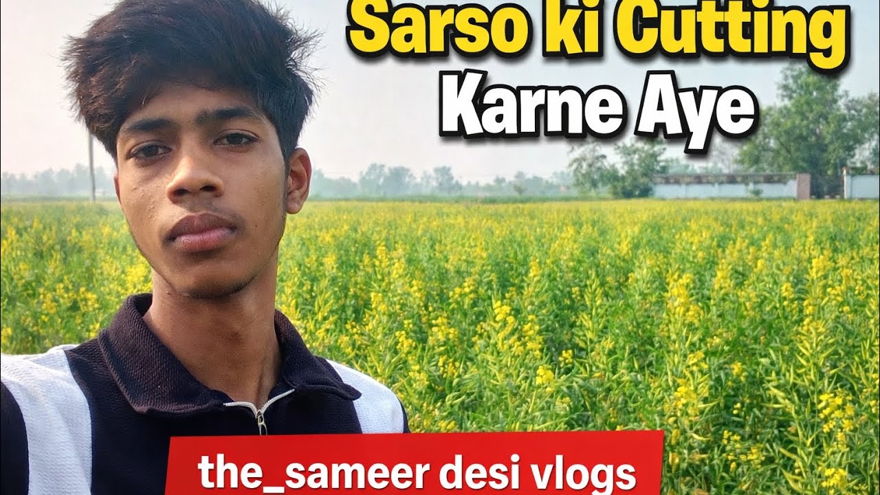 ‼️सरसो 🌾 की कटाई⚓ करने आए तो बहुत मजा आया 🤭‼️