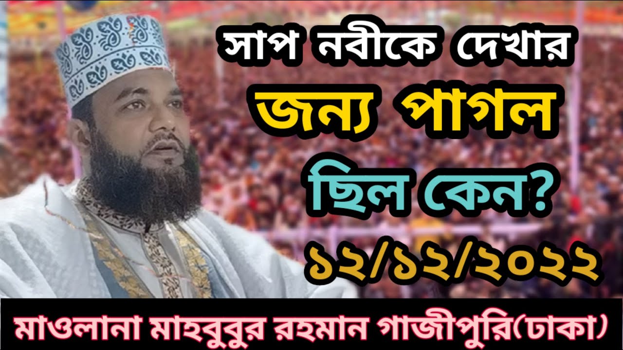 সাপ নবীকে দেখার জন্য পাগল ছিল কেন? // মাওলানা মাহবুবুর রহমান গাজীপুরি / Mahbubur Rahman Gajipuri Waz