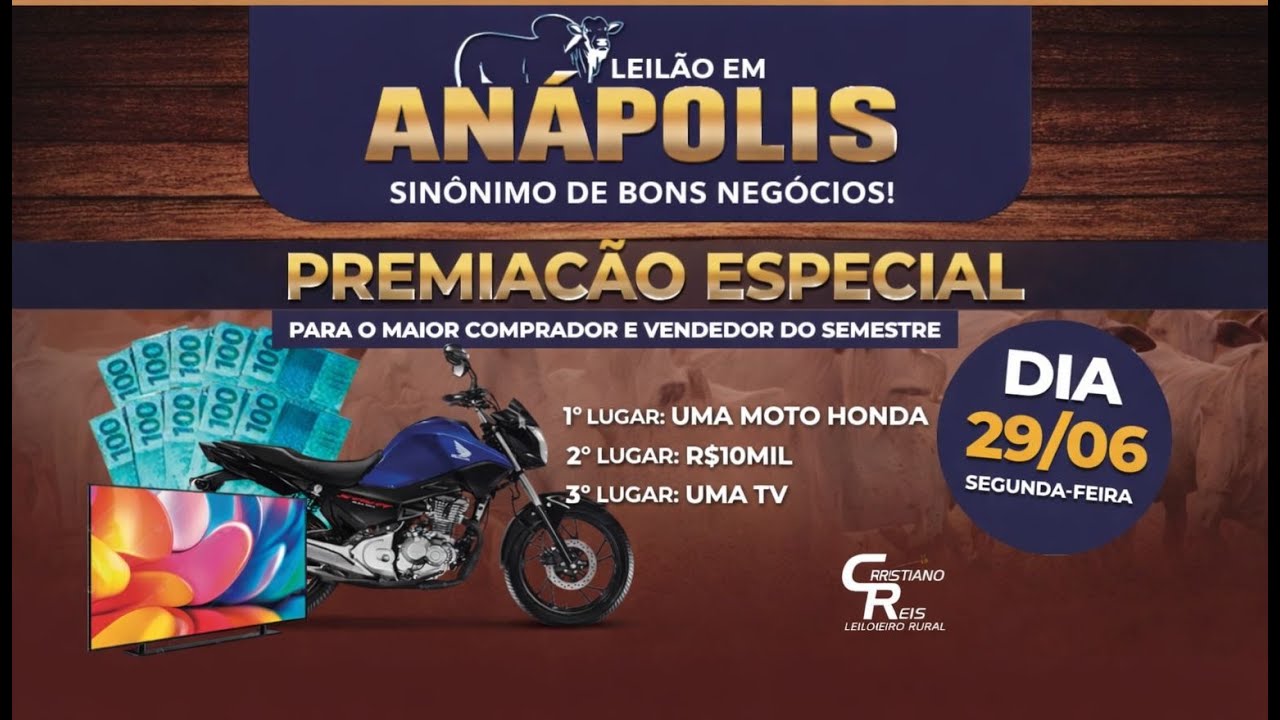 LEILÃO DE ANÁPOLIS | ANÁPOLIS-GO  09/02/2026 | LEILÃO DE GADO AO VIVO