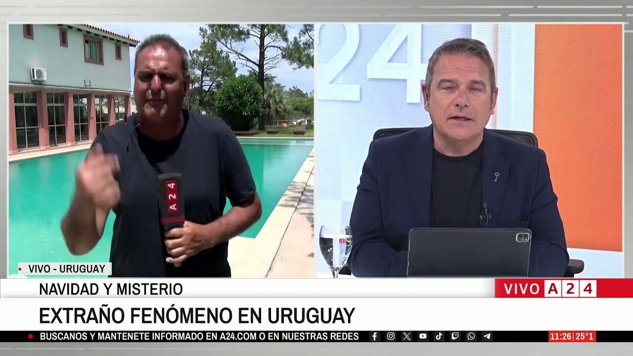 🥳🎄 La navidad de los famosos en Uruguay: Julio Boca, Ricardo Darín, Pampita y Wanda Nara