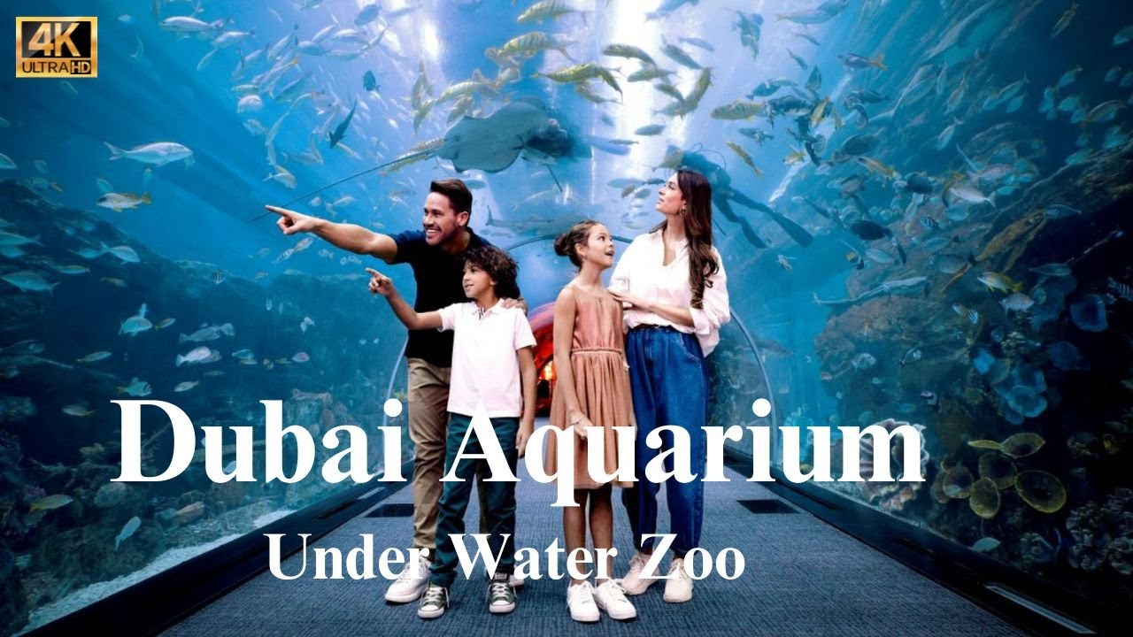 Aquarium & Under Water Zoo Dubai Mall Full Tour 14th Jan 2025.
