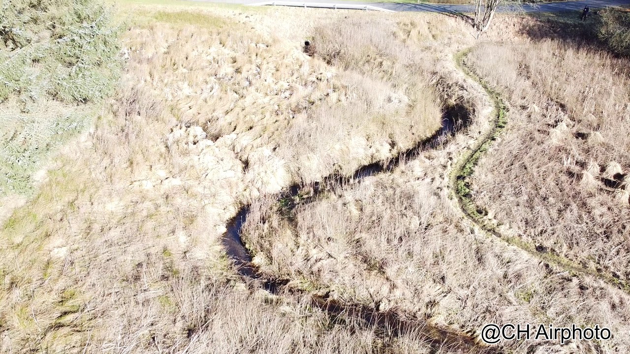 I NEVER KNEW we have this kind of NATURE, almost in our backyard.