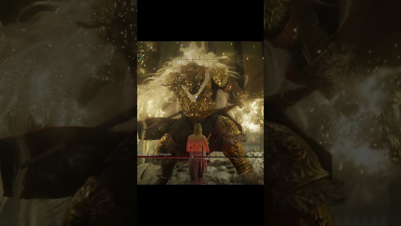 400 hours of Promised Consort Radahn