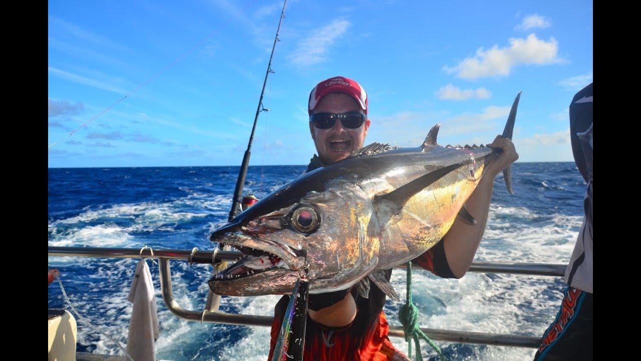 Coral Sea Fishing Video!! East Diamond Islet!!