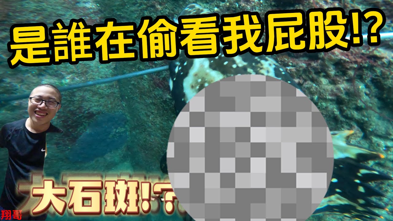 《自由潛水趕海打魚》基隆大武崙 射爆全場 打到最後竟然被超級大惡漢魚很瞪我竟然都沒發現!?交換單元持續中..#抓海鲜 #自由潛水 #趕海 #打魚 #料理 #釣魚
