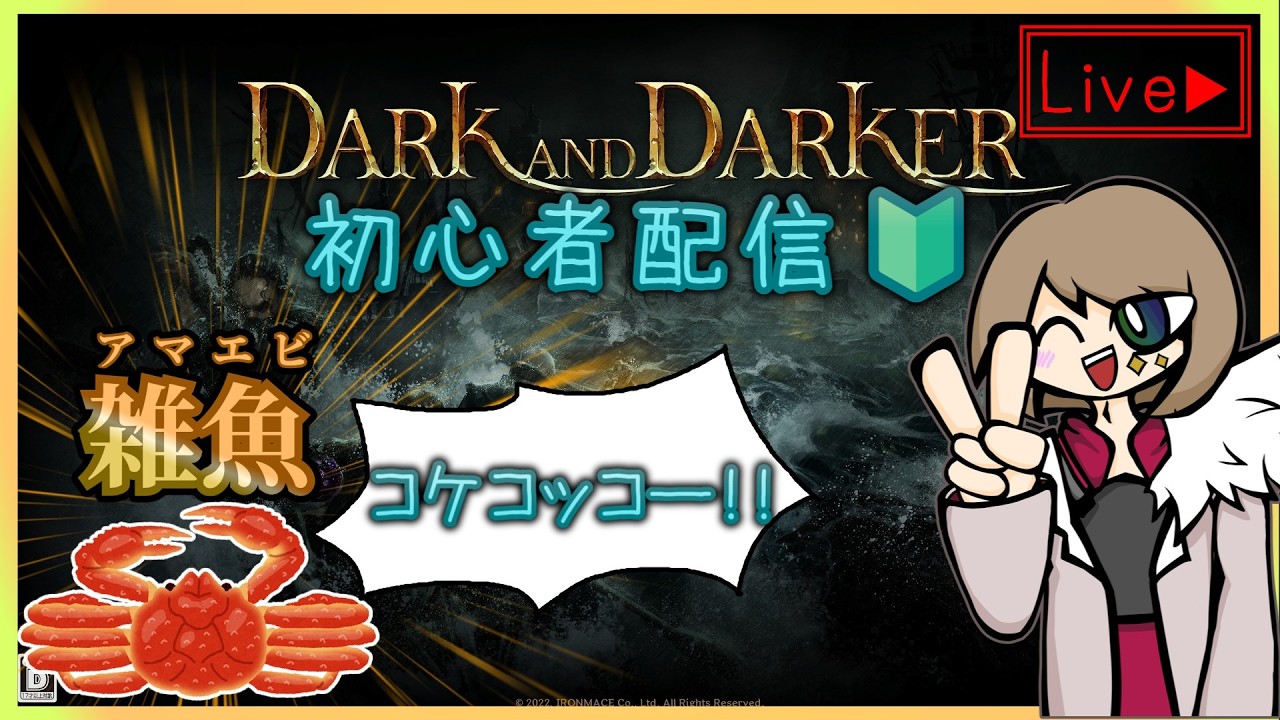 【Dark and Darker】また破産したので、海でぶんぶんジャラジャラするファーマー配信【初見歓迎】
