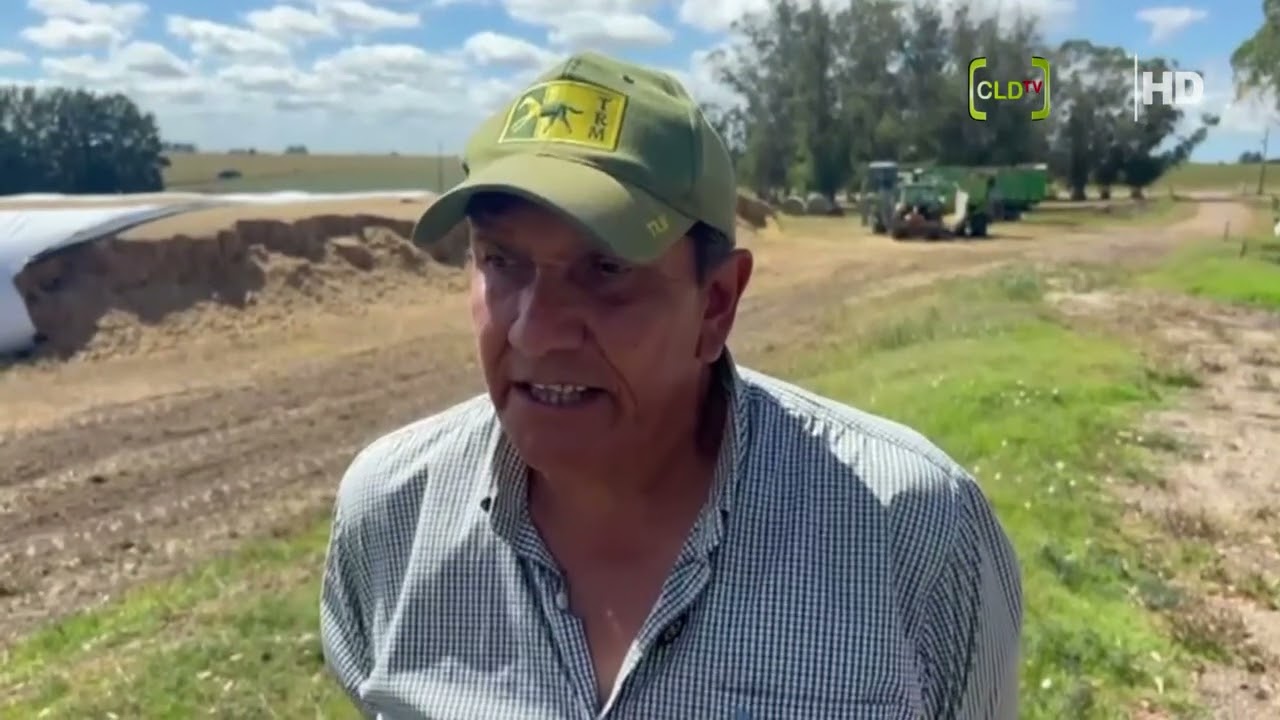 Vandalismo en la lecheria con destrozos en bolsas de silos