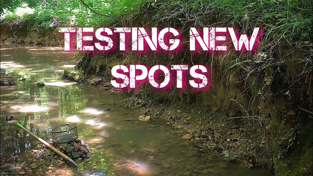 Prospecting new areas- NC Gold Prospecting