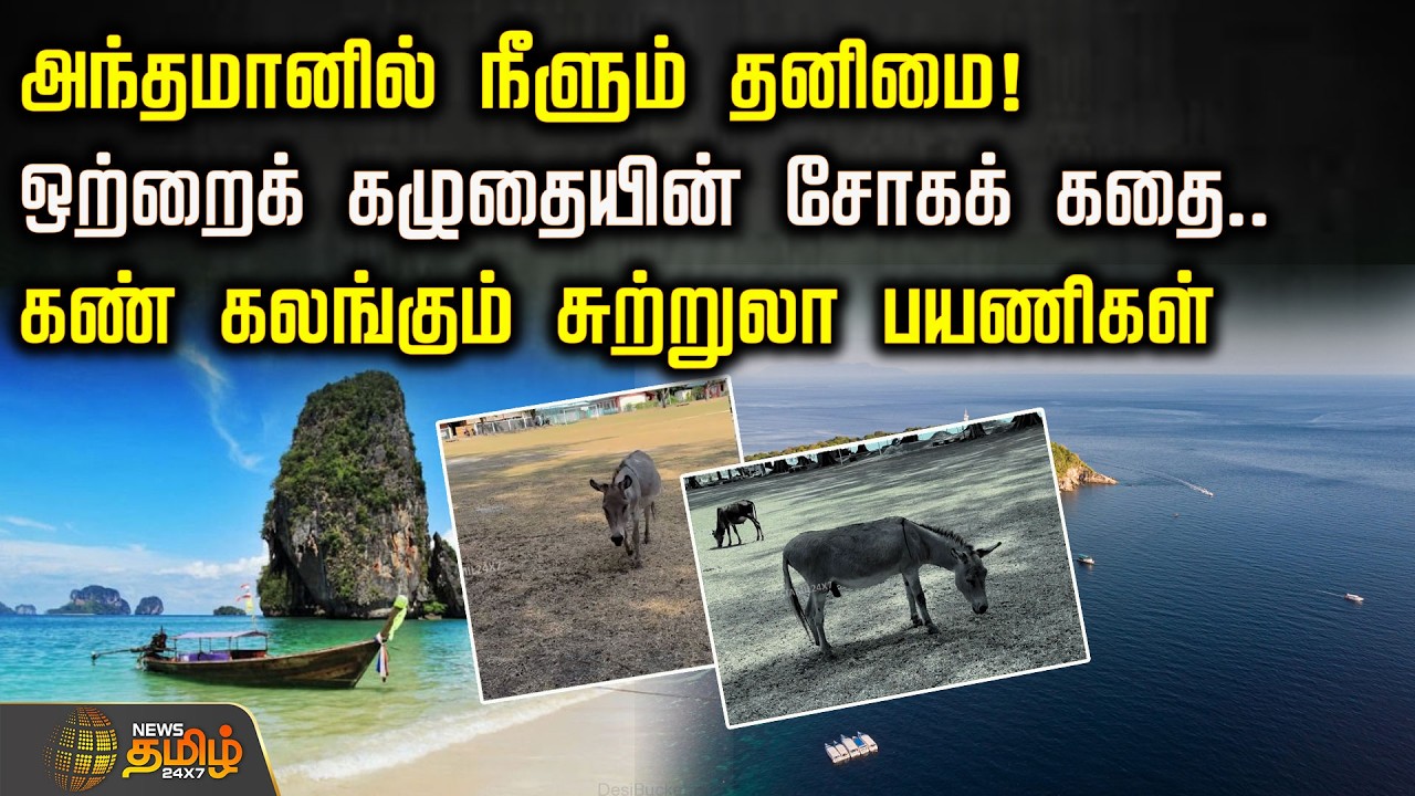 அந்தமானில் நீளும் தனிமை! ஒற்றைக் கழுதையின் சோகக் கதை.. கண் கலங்கும் சுற்றுலா பயணிகள் | Andaman
