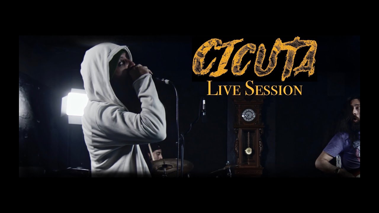 CICUTA Live Session [2020]