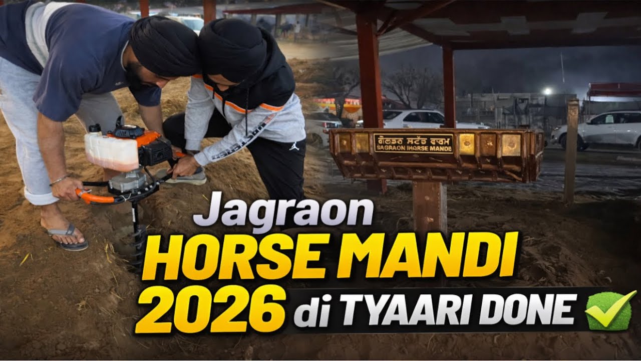 Adda Karta Ready Jagraon Mandi te🐎//Full tyaari completed✅