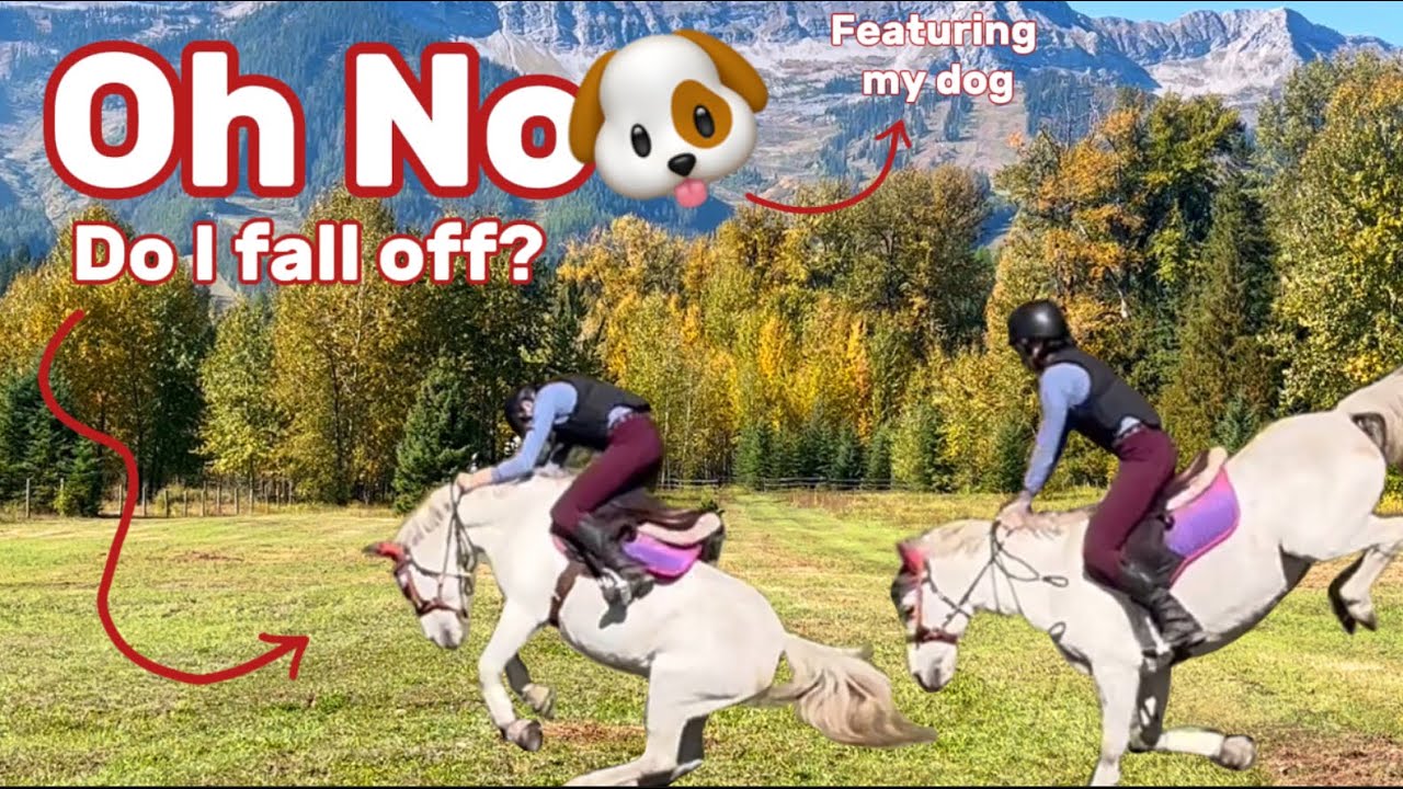 MY DOG CHOSES WHAT I DO! + luna almost falls 🫢 ||GoPro footage