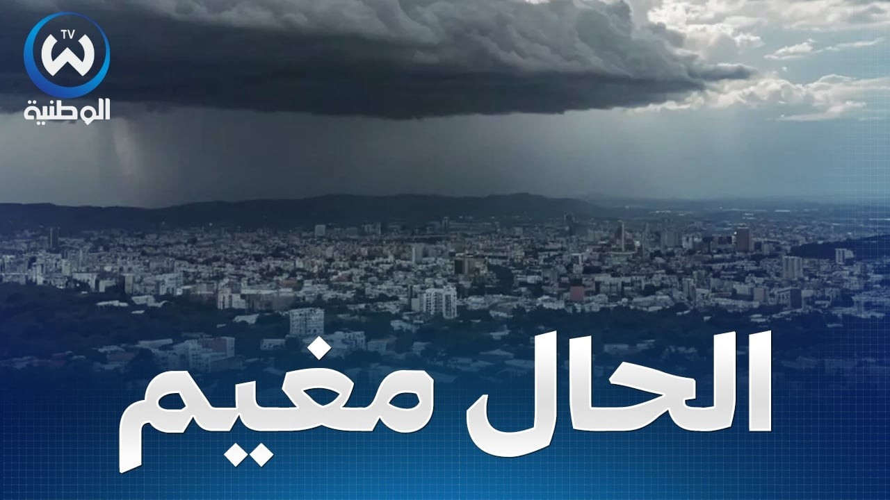 سحب كثيفة وأمطار خفيفة على هذه المناطق..حالة الطقس لنهار اليوم