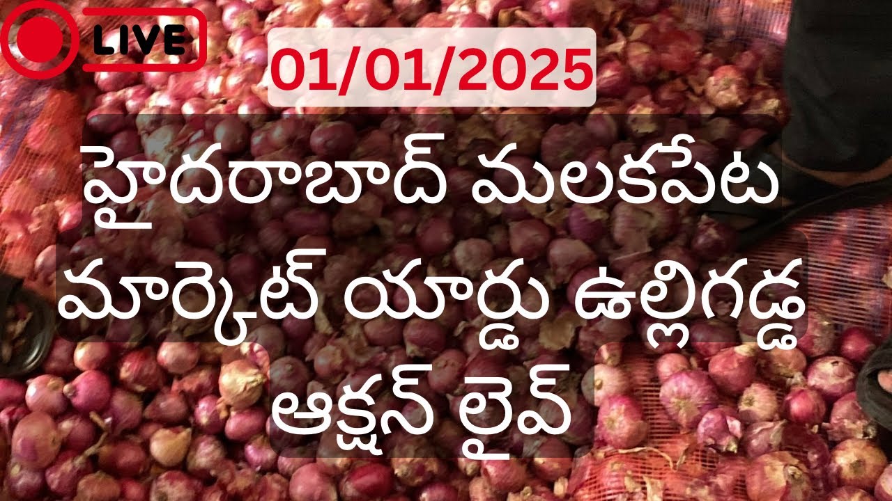 onion wholesale market in hyderabad | 01/01/2025 | malakpet market onion rate today 