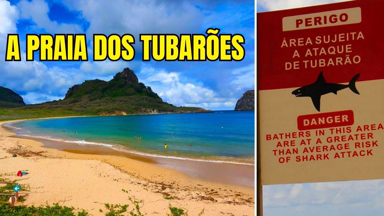 Praia do Sueste - Famosa Praia dos Tubarões de Fernando de Noronha 🦈