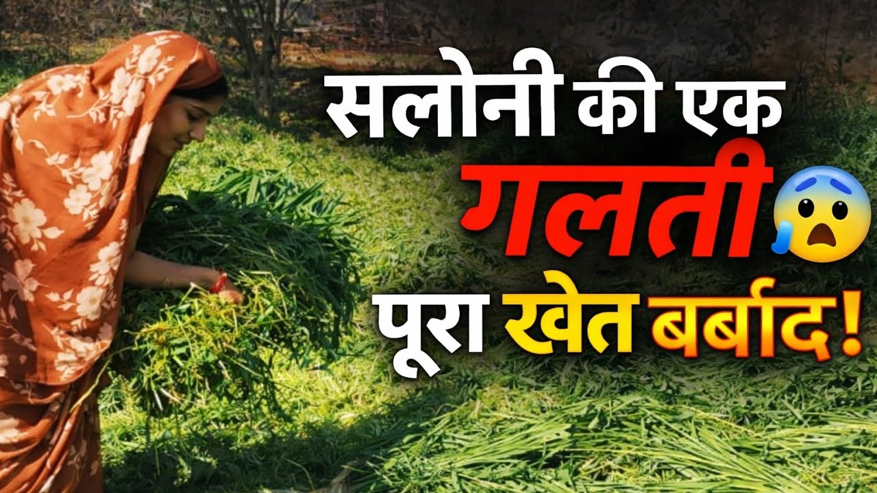 सलोनी की एक गलती से बर्बाद हो गया पूरा खेत! 😨