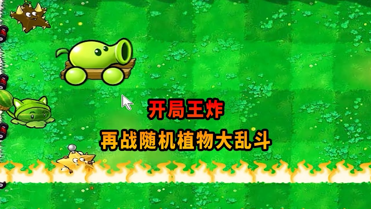 【植物大戰僵尸】開局王炸！再戰隨機植物大亂斗！