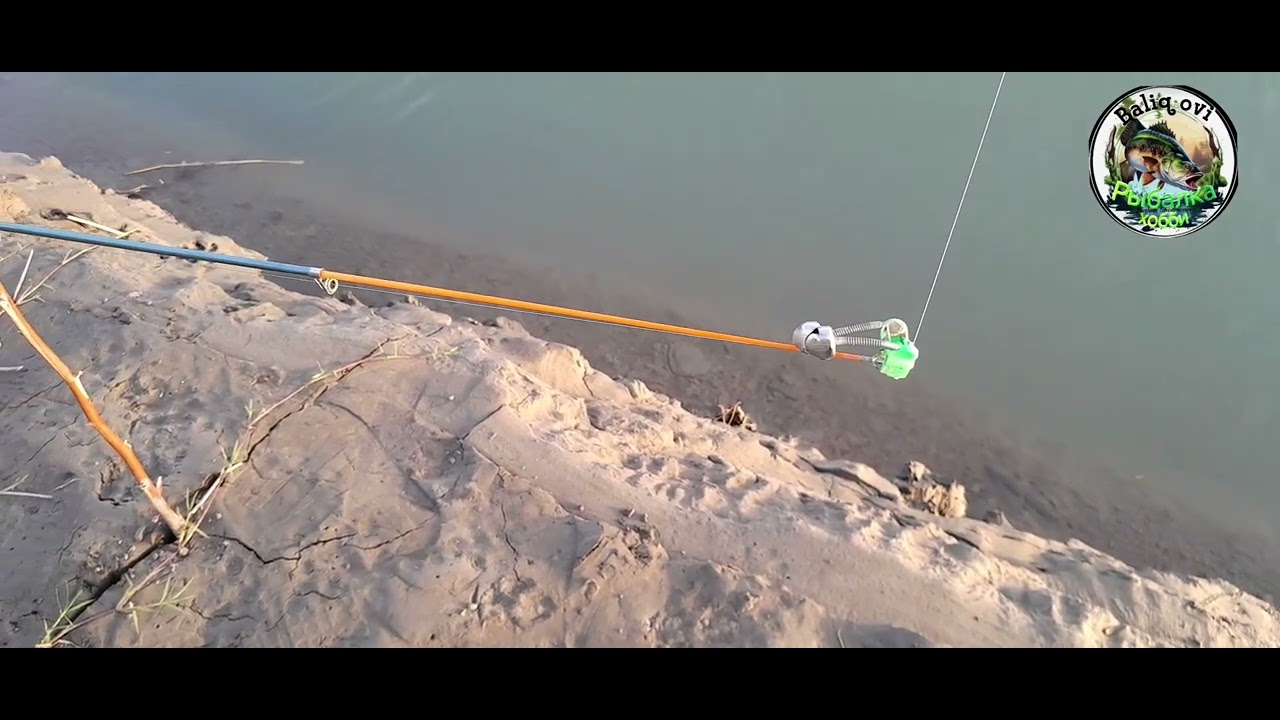 Самарканд Зарафшон дарёсида балик ови 02.09.2024йил