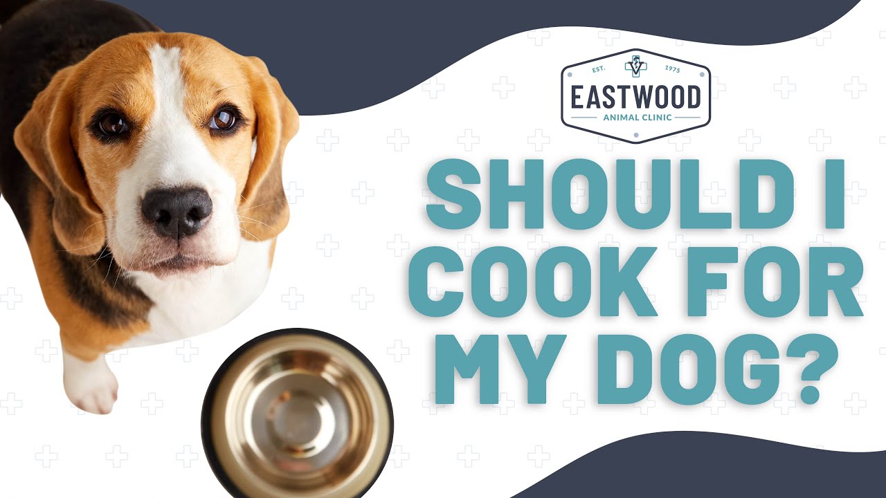 Should I Cook For My Dog?