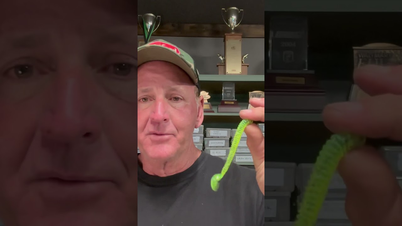 Secret Summer Plastic Worm Color