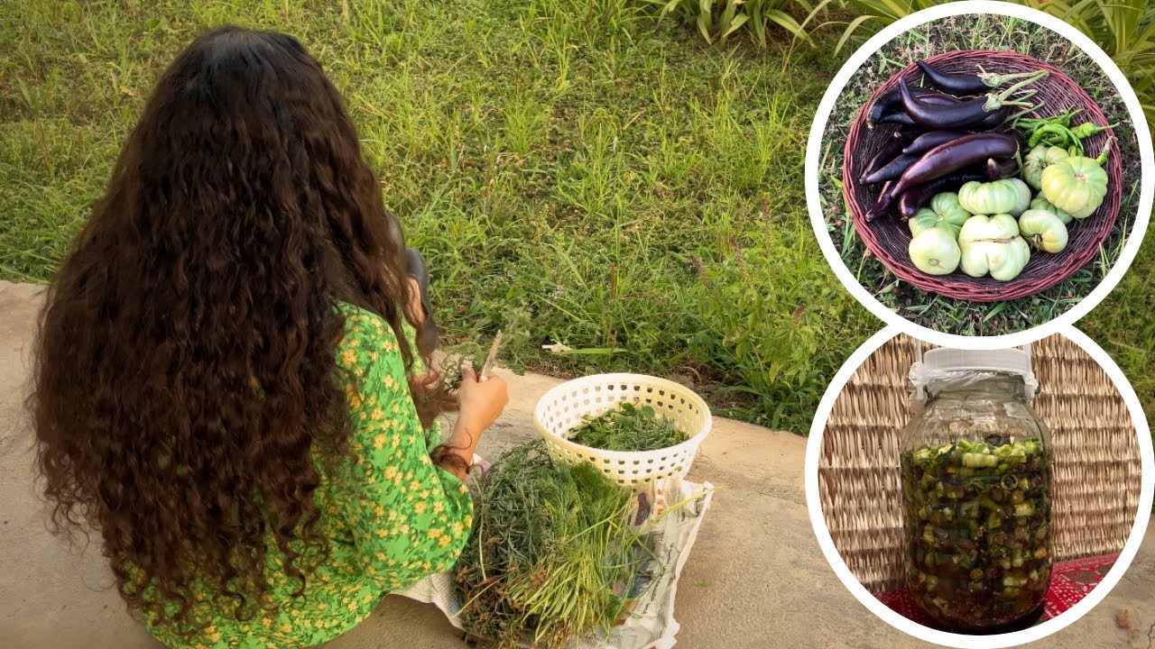 ‏|Village Girl Makes Traditional Persian Pickles From Garden to Jar 🍆