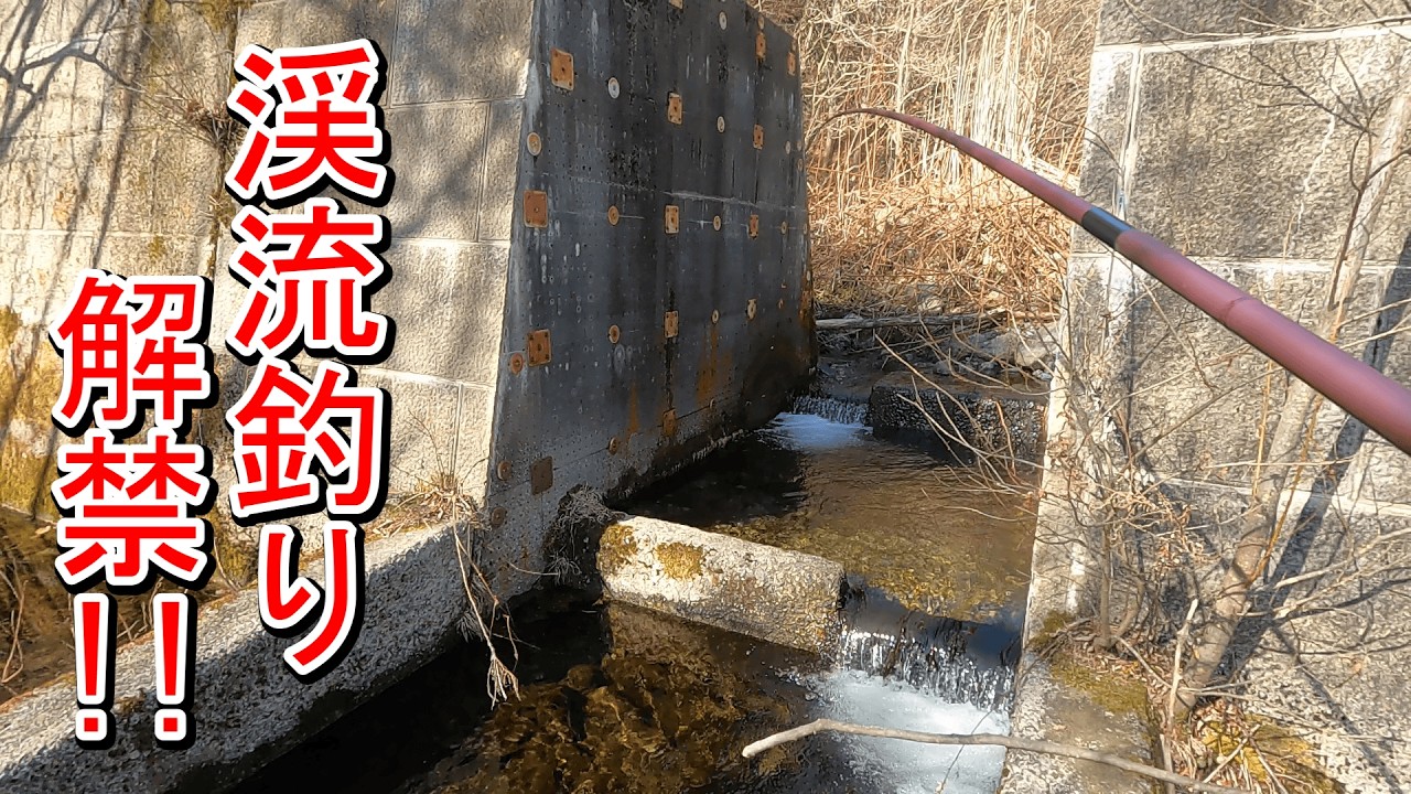 【渓流釣り】２０２６シーズン開幕！