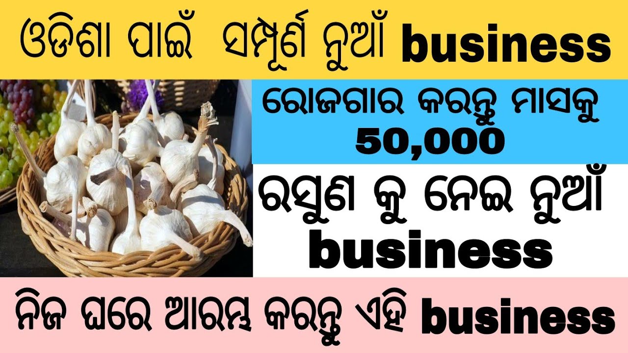 Small business idea|| No investment business idea||Business idea for odisha||Job House