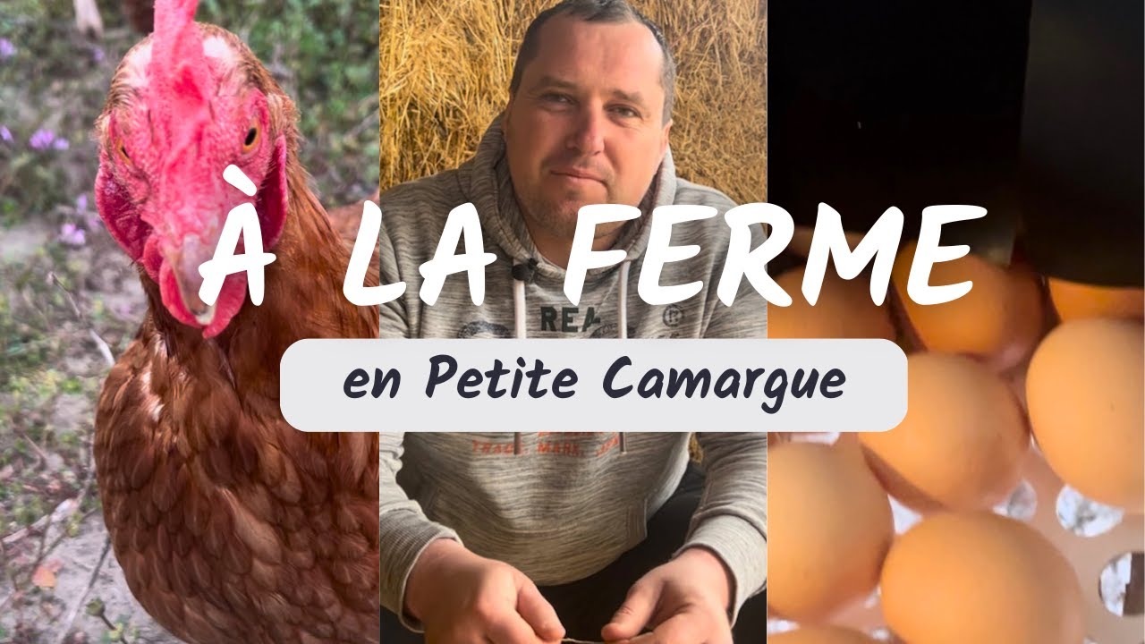 RENCONTRES AU COEUR DES TERRES/ EPISODE 1:  FERME D'OEUFS  BIO EN PETITE CAMARGUE (MANUE & THOMAS)