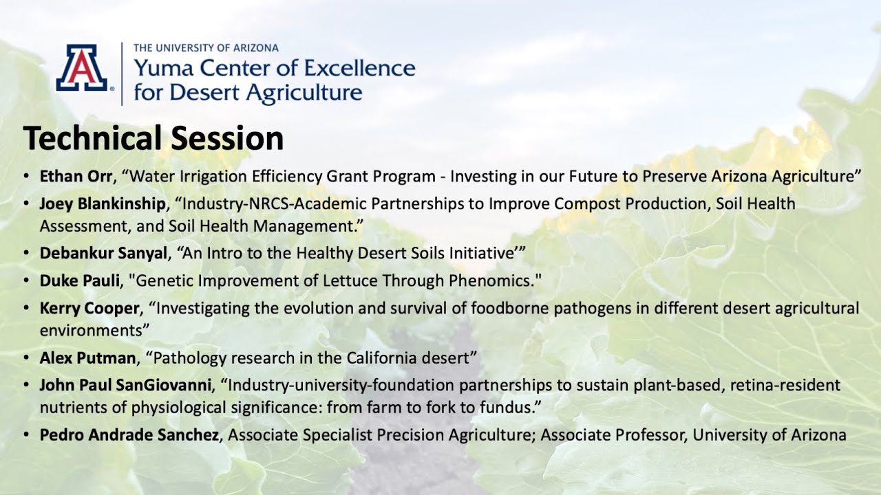 Industry-Focused Research Efforts