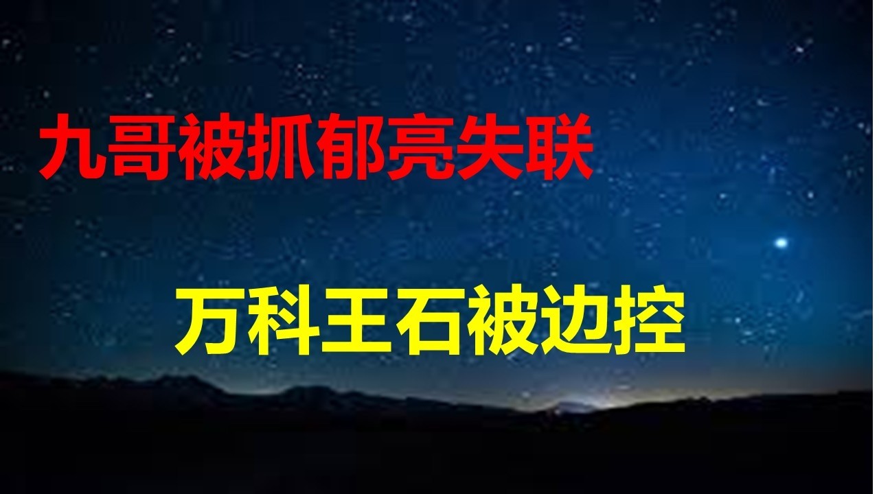 秋后算账，继郁亮失联后，王石也被边控；猪肉价跌破5元，国民经济是如何被一头猪影响的；杭州一天27连跳；上海买房需要服从调剂。