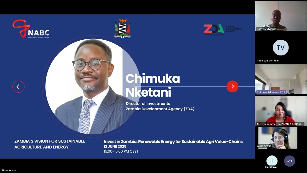 Webinar: Invest in Zambia: Renewable Energy for Sustainable Agri Value Chains