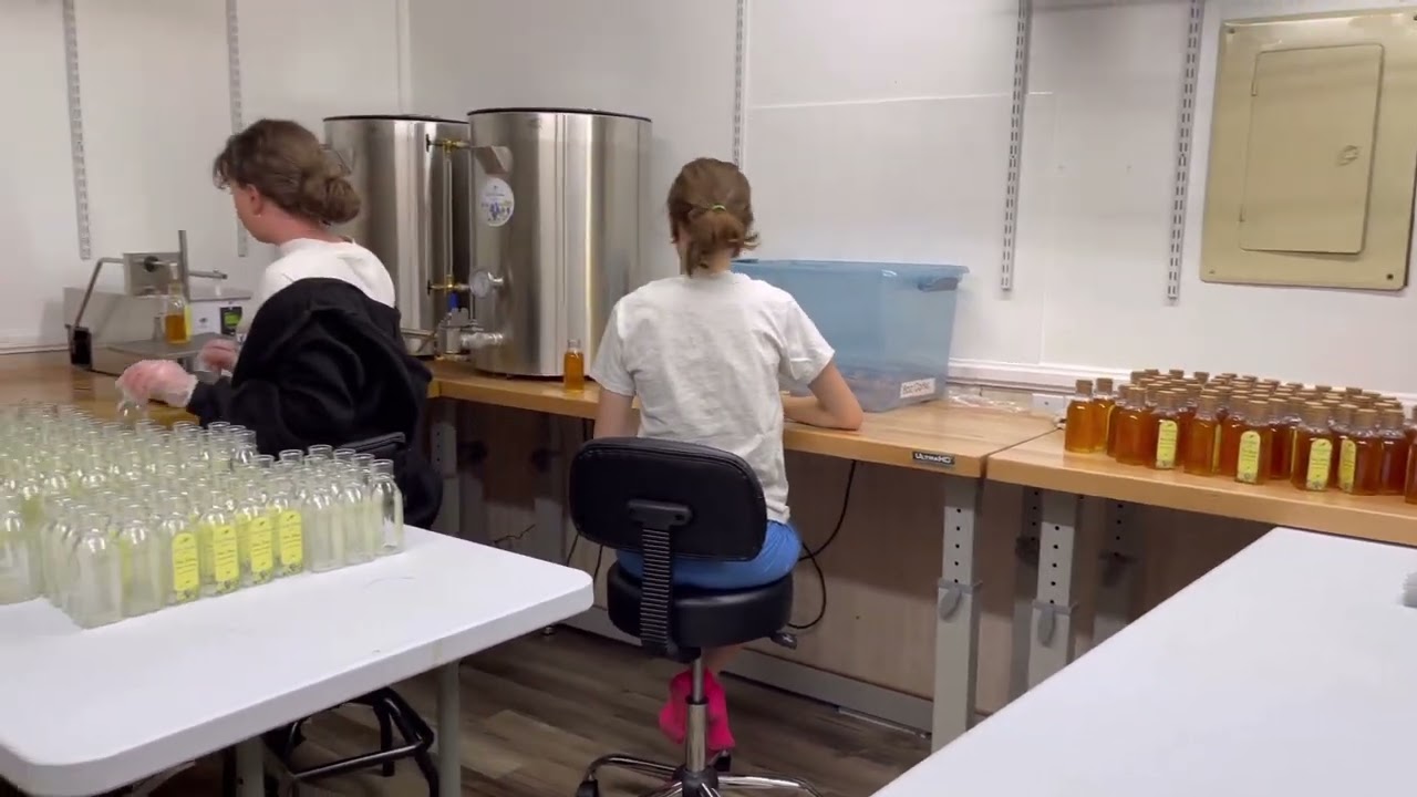 Honey Bottling Machinery Demo