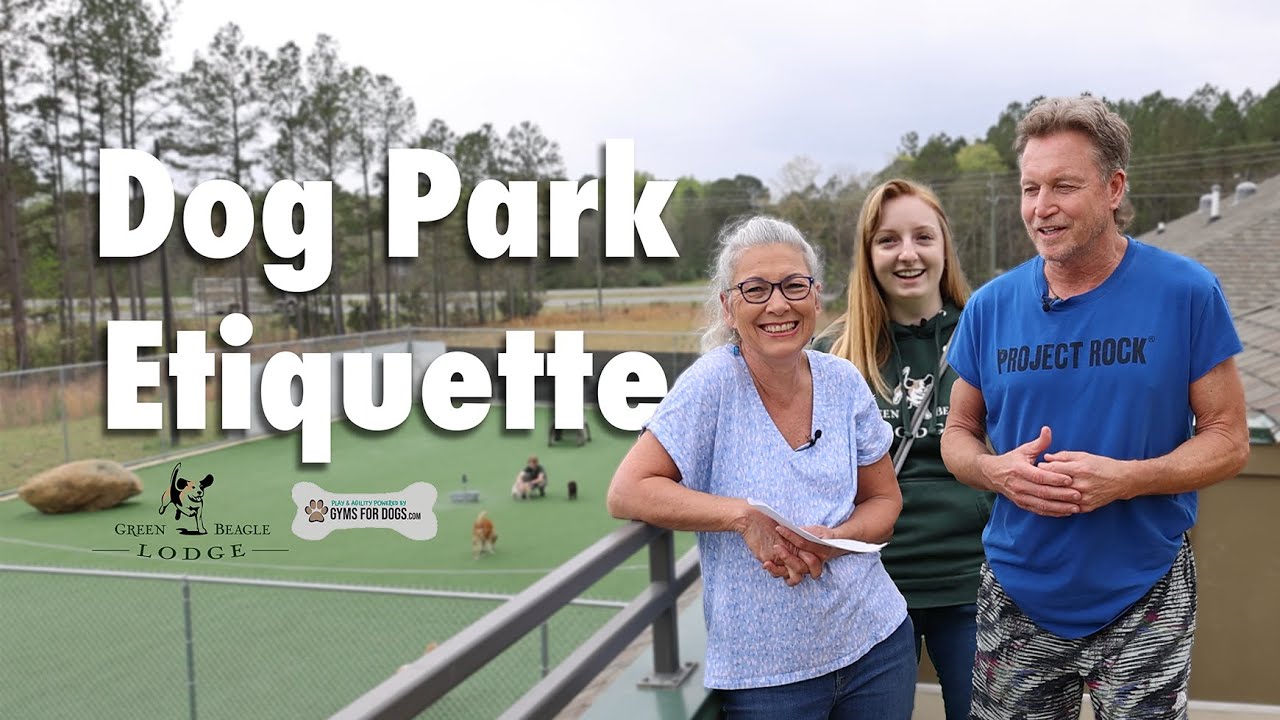 Dog Park Etiquette