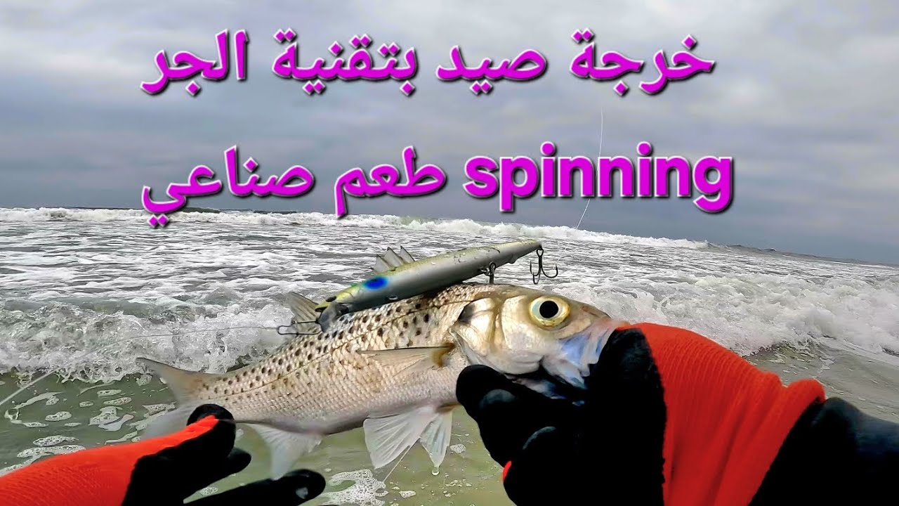 خرجة صيد ممتعة رغمة ضروف غير ملائمة تقنية الجر spinning bar mouchte