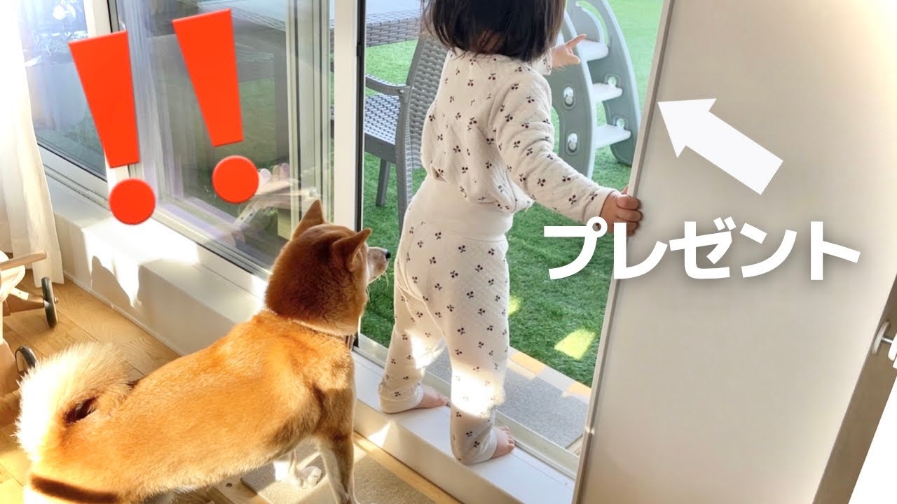 【サプライズ】朝起きたらバルコニーにプレゼントが届いていました