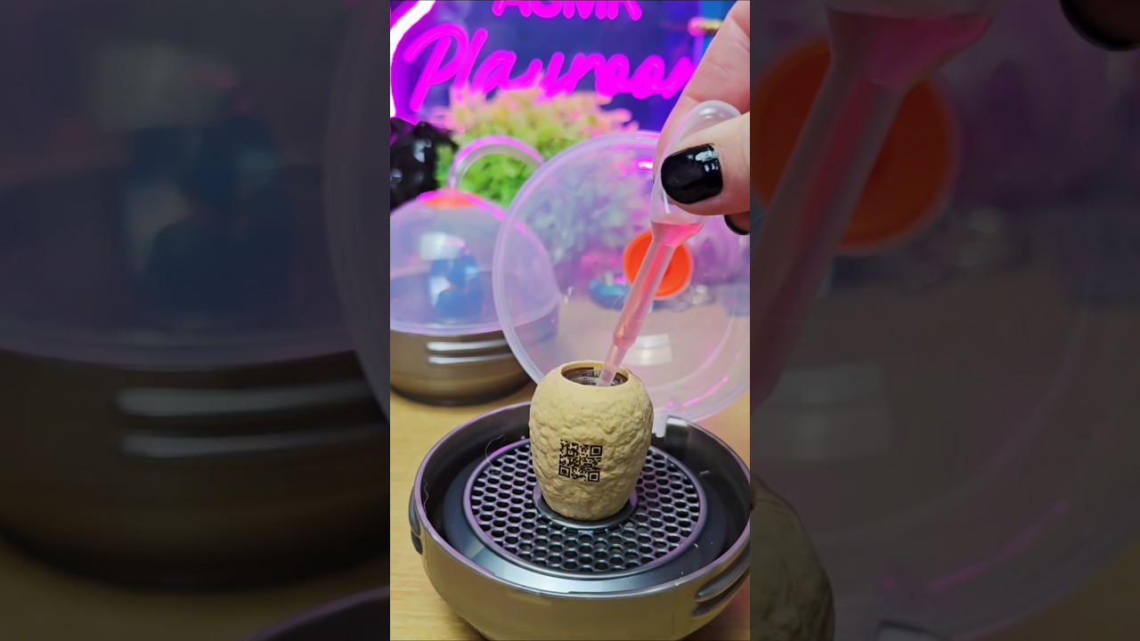 Jurassic World Make it Mini Dinosaurs #miniverse #jurassicworld #dinosaurs #asmr