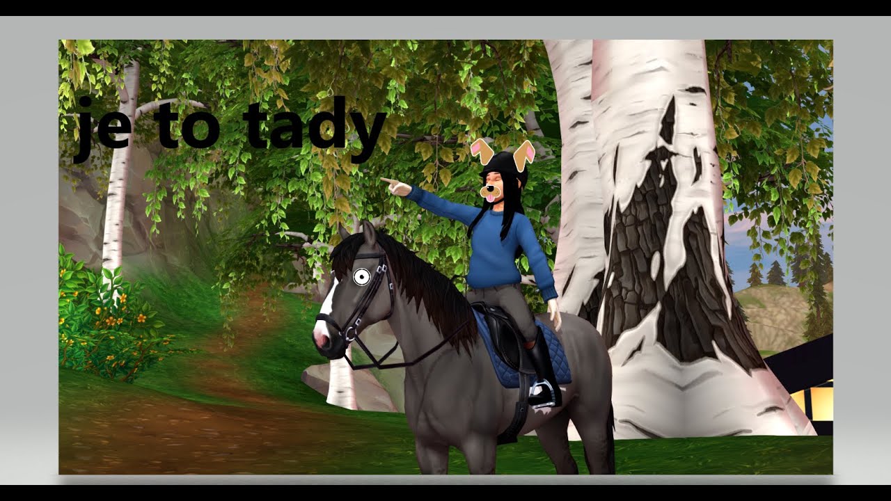 Nový remake (sso\