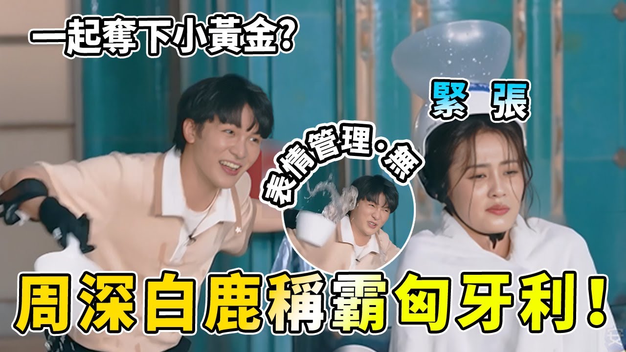 也太清涼了！周深白鹿終於同組小宇宙爆發💥秒猜歌簡直就是不敗組合| 綜藝 |zhoushen | bailu | 奔跑吧